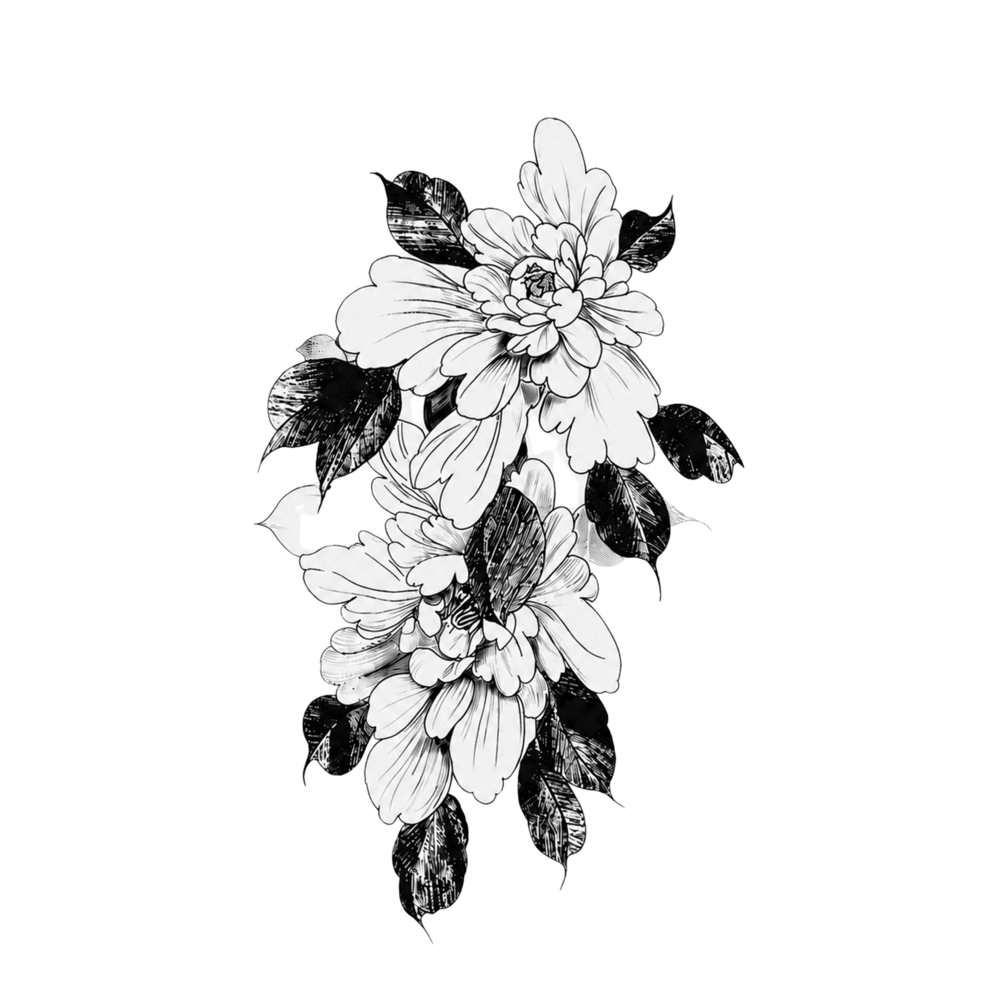 Petaline