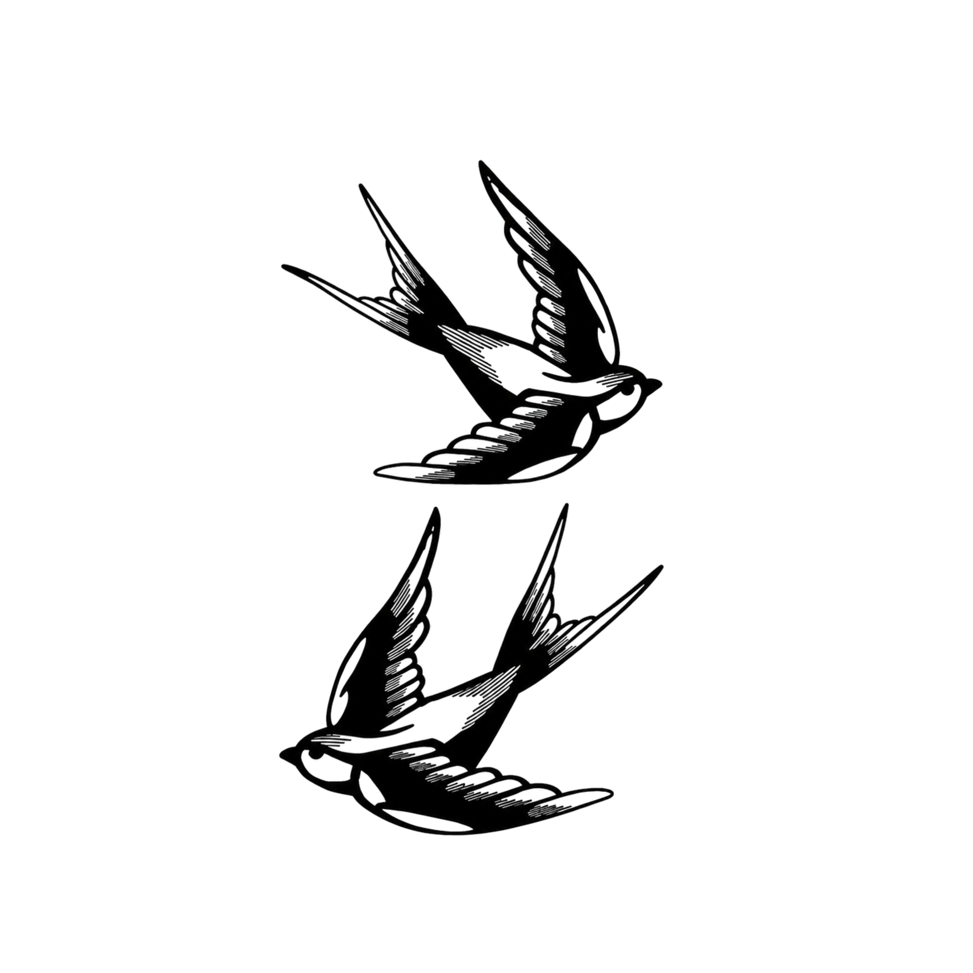 Boundless Swallows
