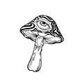 Magic Mushroom