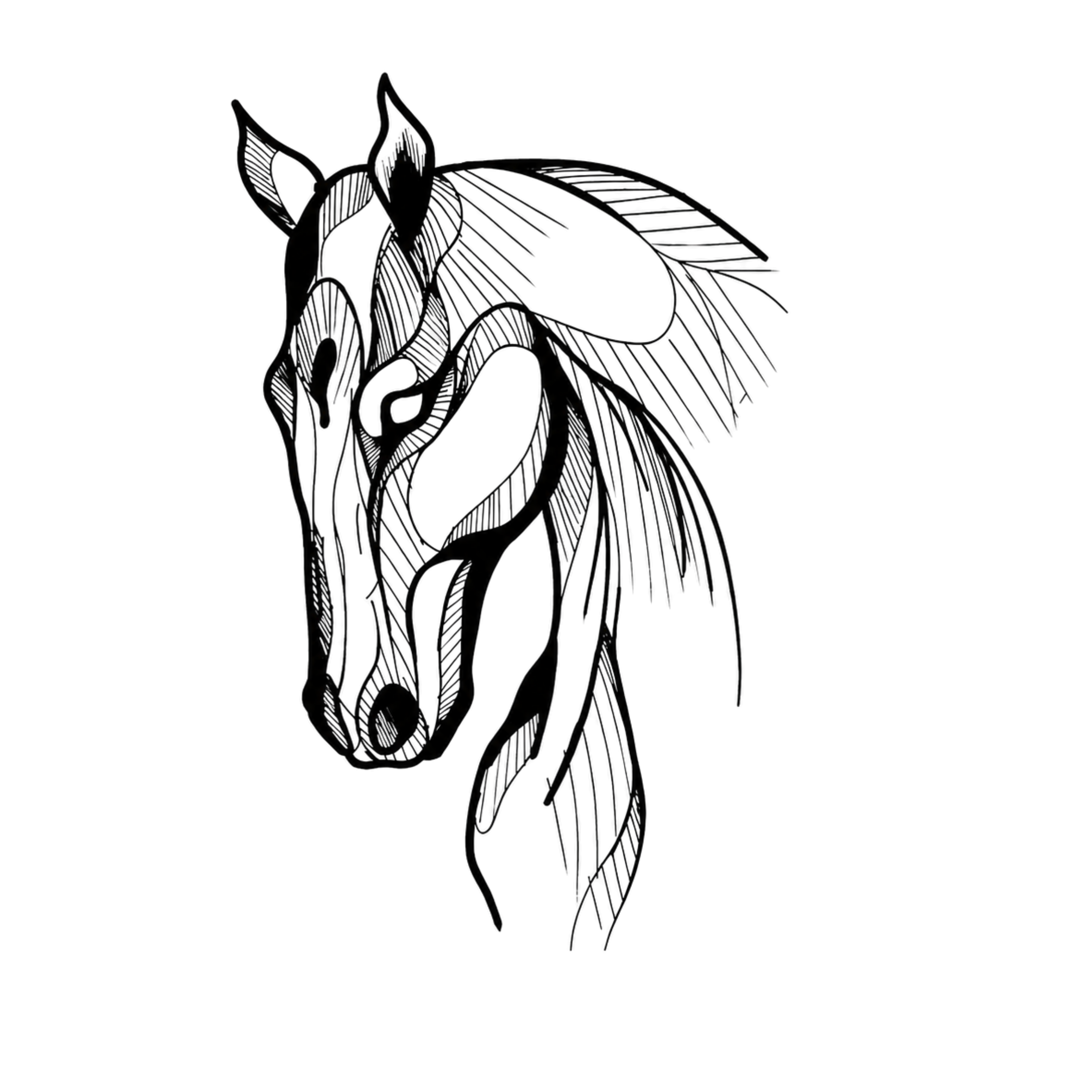 Silent Gallop