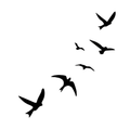 Flock