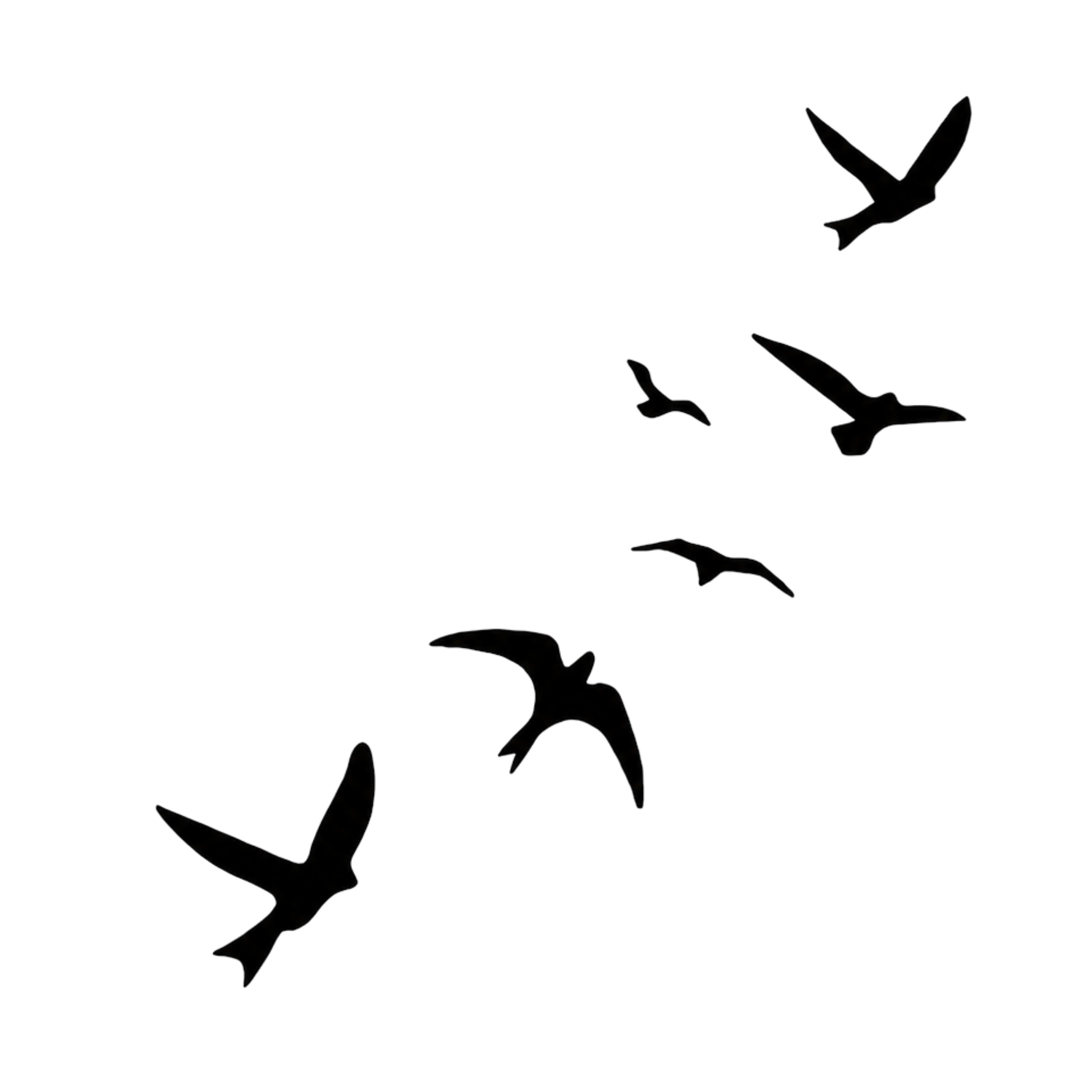 Flock