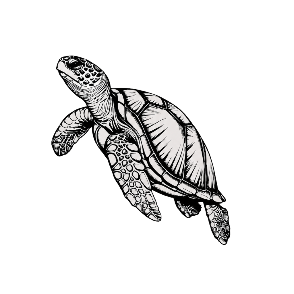 Sea Turtle