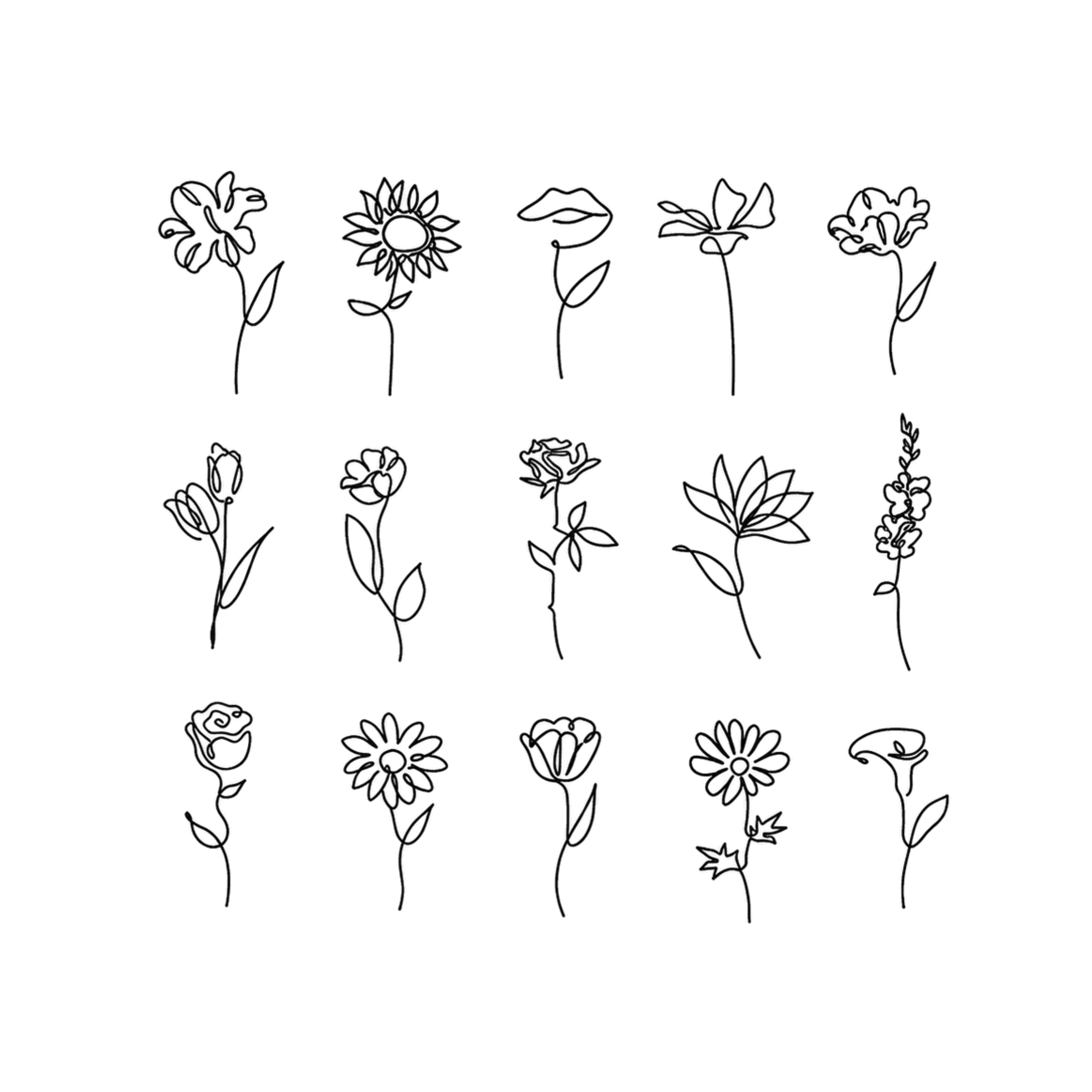 Floral Fantasy