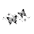 Star Flights