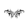 Electrifly
