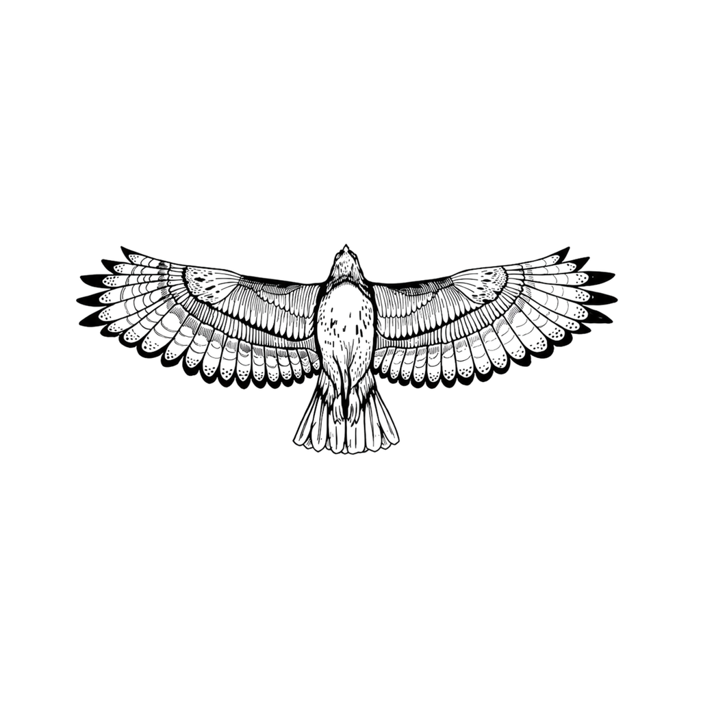 Open Wings