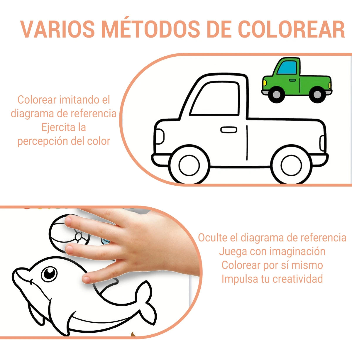 "Colorear Animales" Coloring Books for Kids - Draw & Explore Nature Children Painting